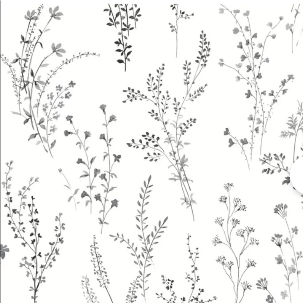 Meet your Posher, Rowen